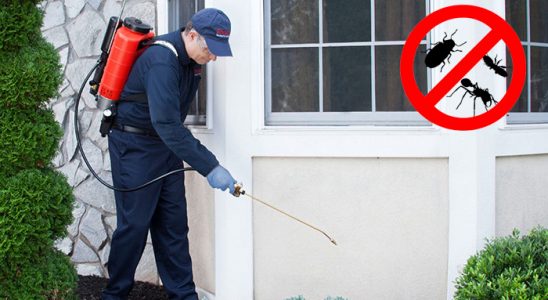 Mesudiye Fare İlaçlama böcek ilaçlama ve haşere kontrolü — ilaclama-tr.com